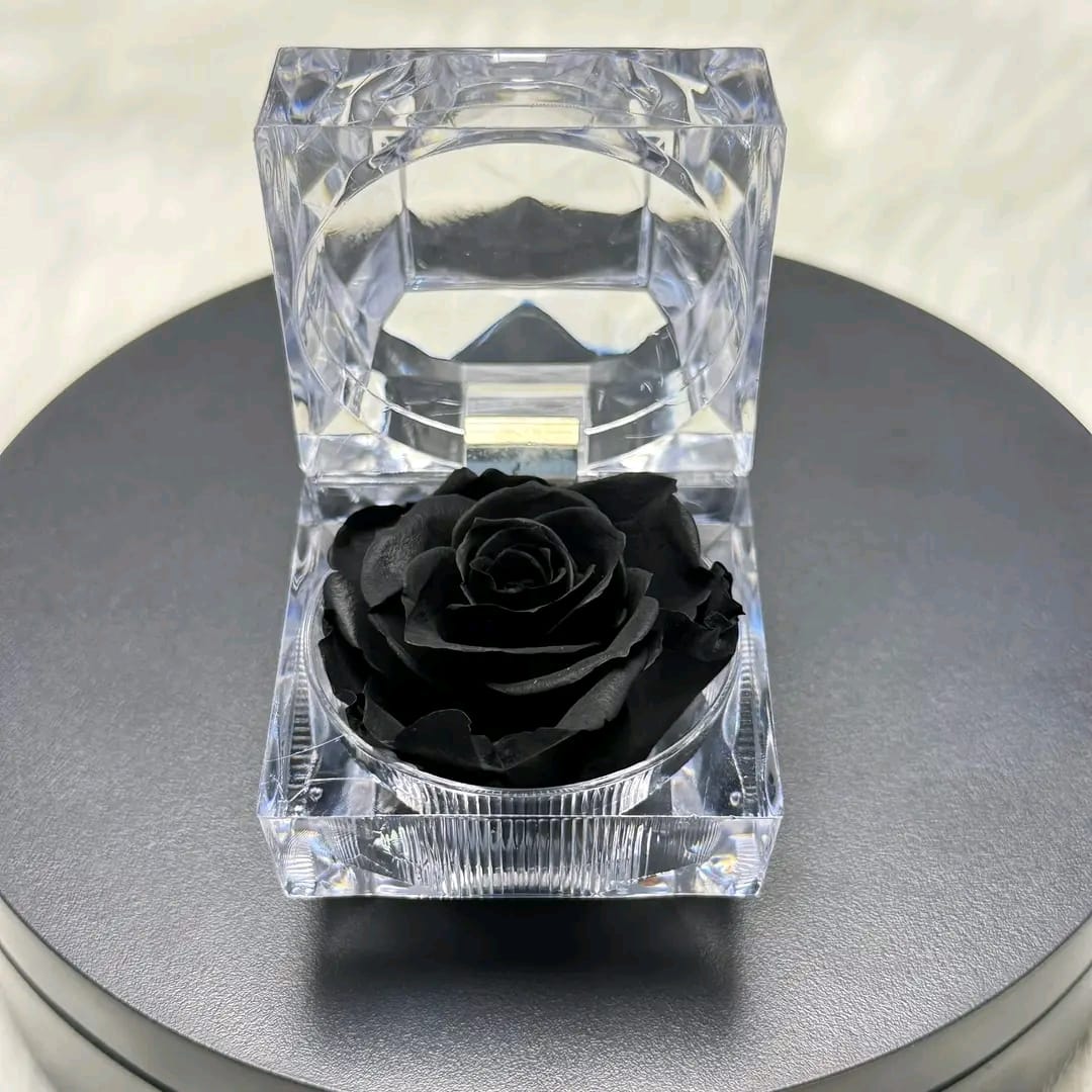 Luxury Preserved Rose Gift Box 🌹